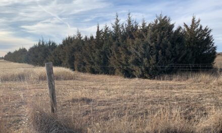2021 Windbreak Award Winner Craig and Jessica Iwanski